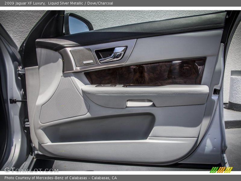 Door Panel of 2009 XF Luxury