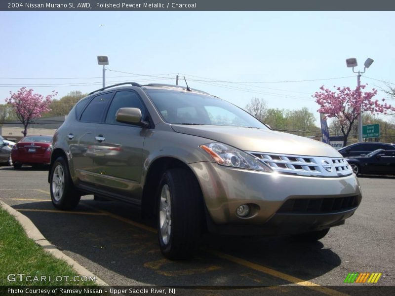 Polished Pewter Metallic / Charcoal 2004 Nissan Murano SL AWD