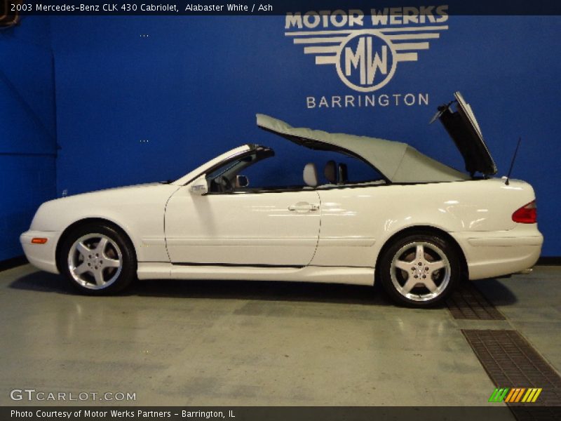 Alabaster White / Ash 2003 Mercedes-Benz CLK 430 Cabriolet