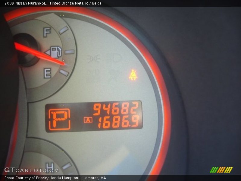 Tinted Bronze Metallic / Beige 2009 Nissan Murano SL