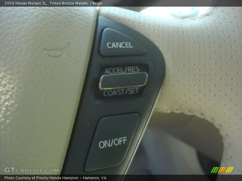 Tinted Bronze Metallic / Beige 2009 Nissan Murano SL