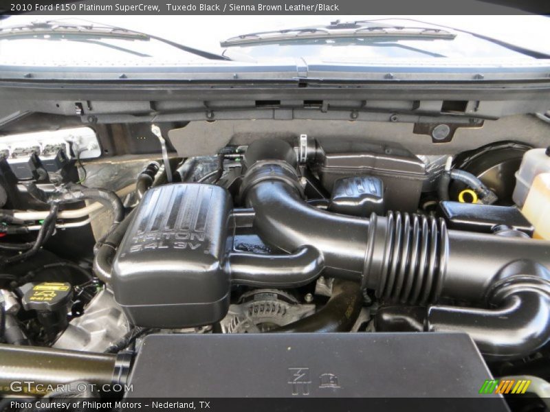 Tuxedo Black / Sienna Brown Leather/Black 2010 Ford F150 Platinum SuperCrew
