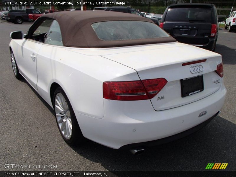 Ibis White / Cardamom Beige 2011 Audi A5 2.0T quattro Convertible