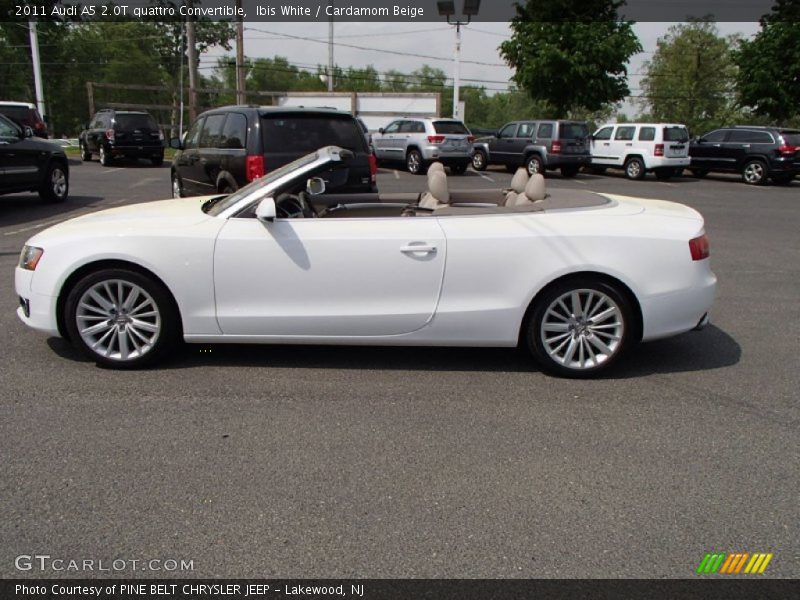 Ibis White / Cardamom Beige 2011 Audi A5 2.0T quattro Convertible