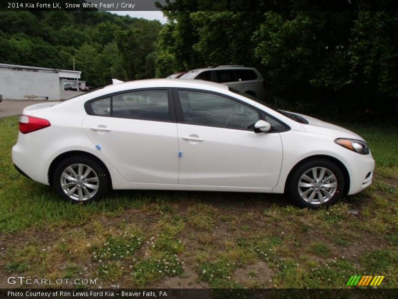 Snow White Pearl / Gray 2014 Kia Forte LX