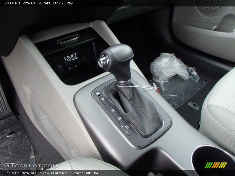 Aurora Black / Gray 2014 Kia Forte EX