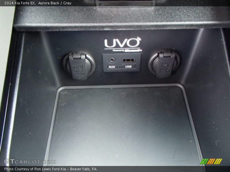 Aurora Black / Gray 2014 Kia Forte EX