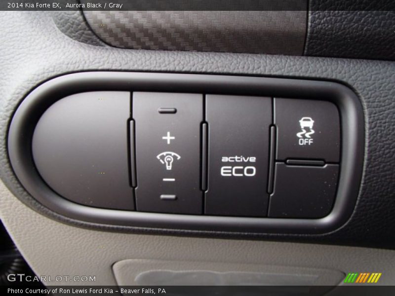 Aurora Black / Gray 2014 Kia Forte EX
