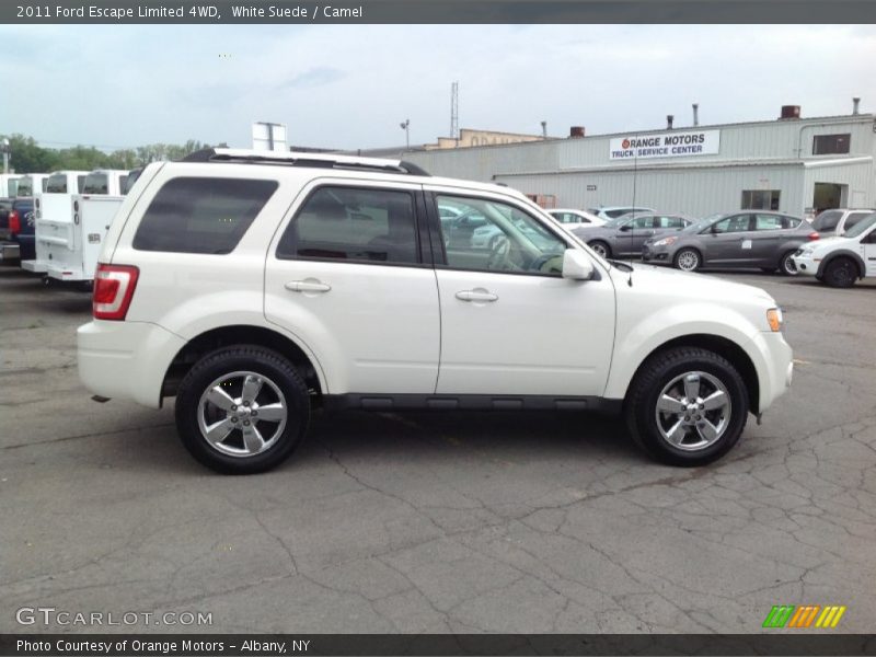 White Suede / Camel 2011 Ford Escape Limited 4WD