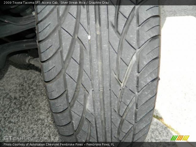 Silver Streak Mica / Graphite Gray 2009 Toyota Tacoma SR5 Access Cab