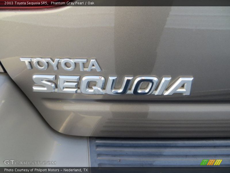 Phantom Gray Pearl / Oak 2003 Toyota Sequoia SR5