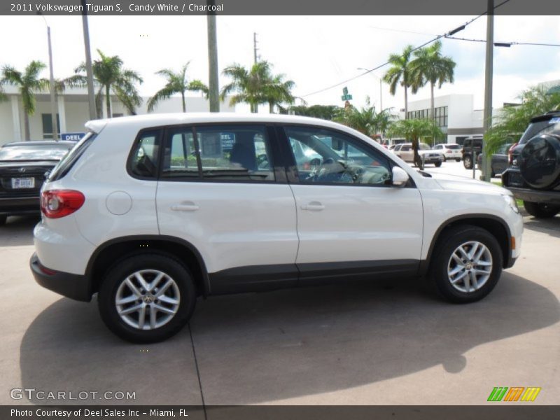 Candy White / Charcoal 2011 Volkswagen Tiguan S