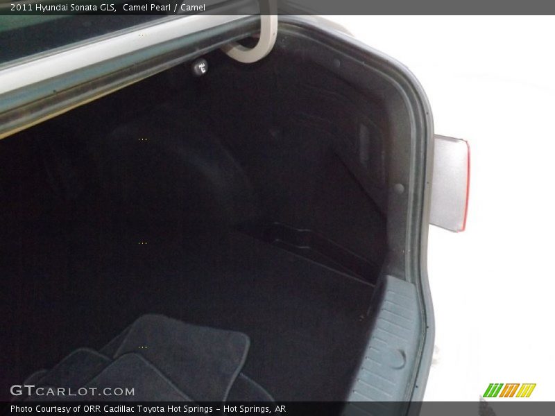 Camel Pearl / Camel 2011 Hyundai Sonata GLS