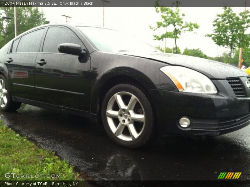 Onyx Black / Black 2004 Nissan Maxima 3.5 SE