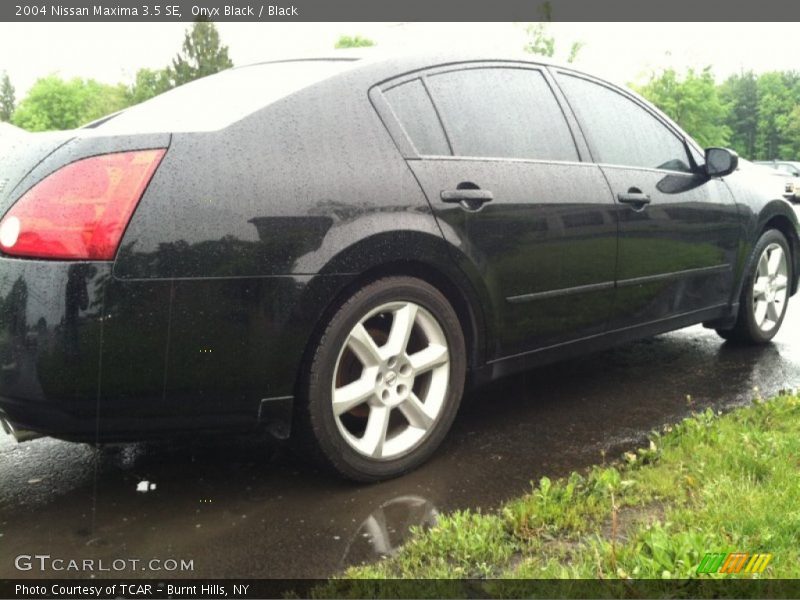 Onyx Black / Black 2004 Nissan Maxima 3.5 SE