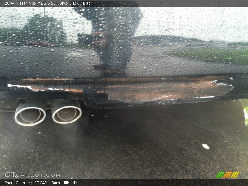 Onyx Black / Black 2004 Nissan Maxima 3.5 SE