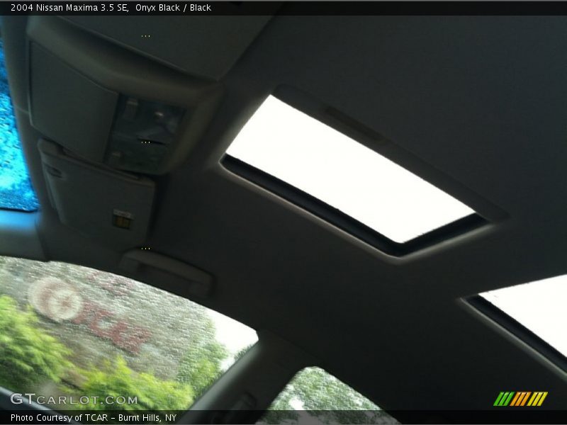 Onyx Black / Black 2004 Nissan Maxima 3.5 SE