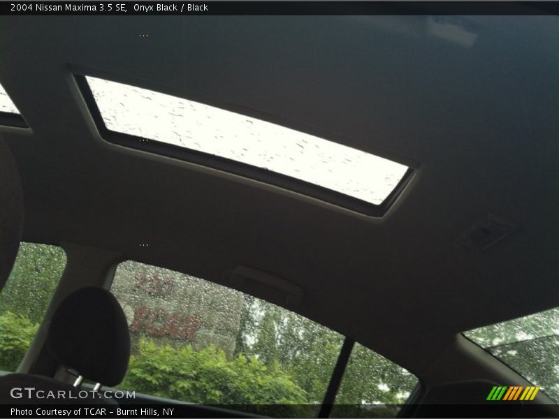 Onyx Black / Black 2004 Nissan Maxima 3.5 SE