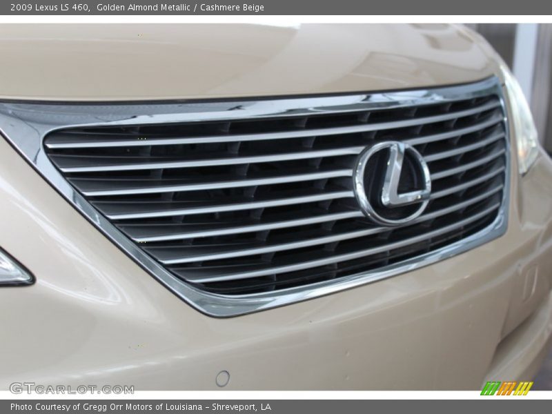 Golden Almond Metallic / Cashmere Beige 2009 Lexus LS 460