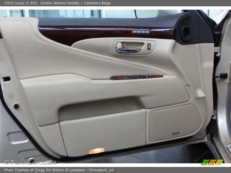Door Panel of 2009 LS 460