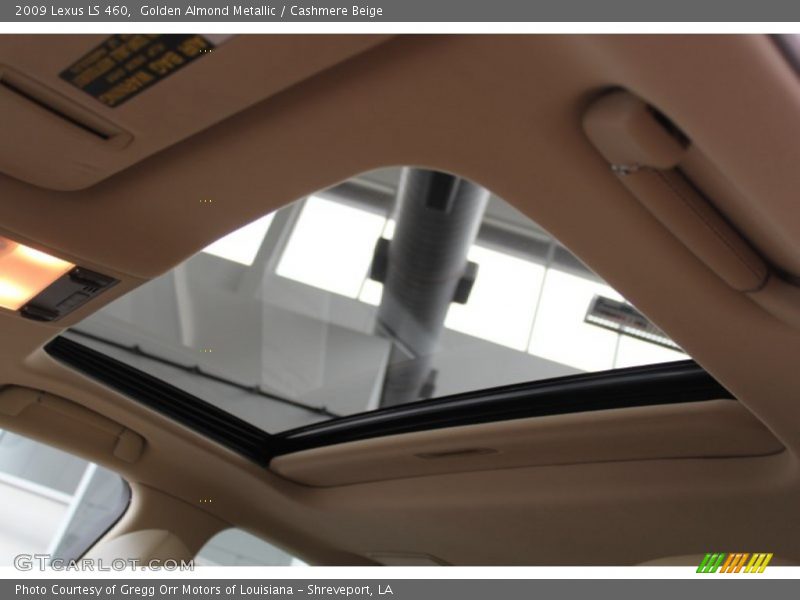 Golden Almond Metallic / Cashmere Beige 2009 Lexus LS 460