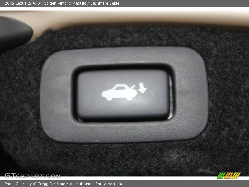 Golden Almond Metallic / Cashmere Beige 2009 Lexus LS 460