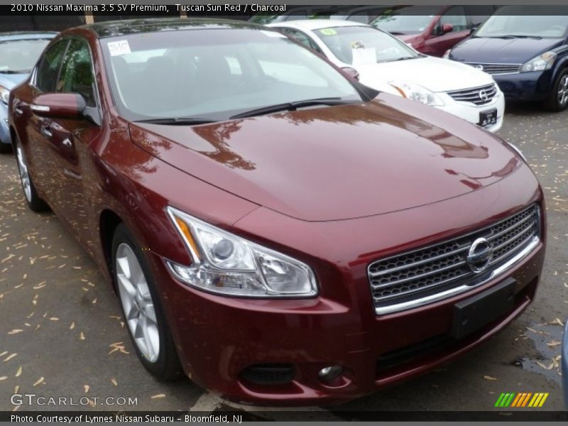 Tuscan Sun Red / Charcoal 2010 Nissan Maxima 3.5 SV Premium