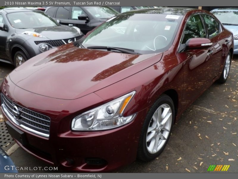 Tuscan Sun Red / Charcoal 2010 Nissan Maxima 3.5 SV Premium