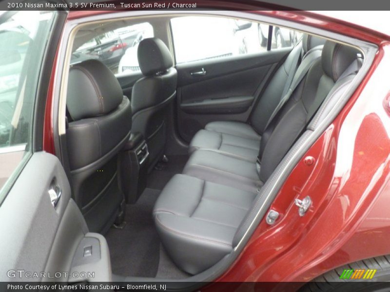 Rear Seat of 2010 Maxima 3.5 SV Premium