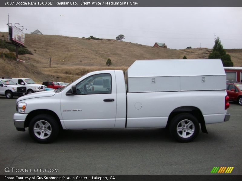 Bright White / Medium Slate Gray 2007 Dodge Ram 1500 SLT Regular Cab
