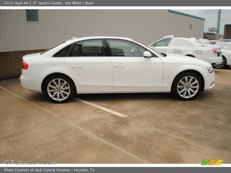 Ibis White / Black 2013 Audi A4 2.0T quattro Sedan