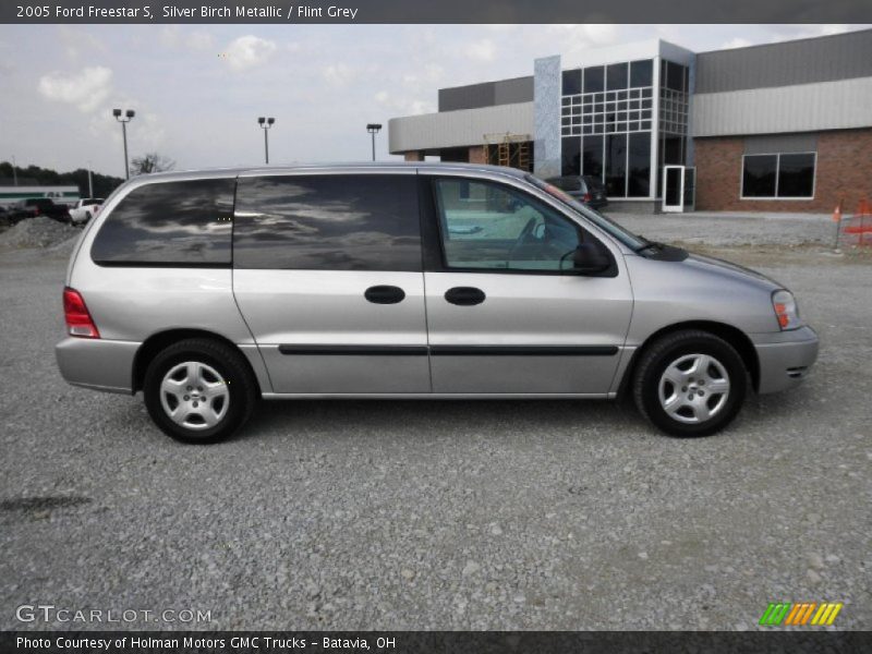 Silver Birch Metallic / Flint Grey 2005 Ford Freestar S