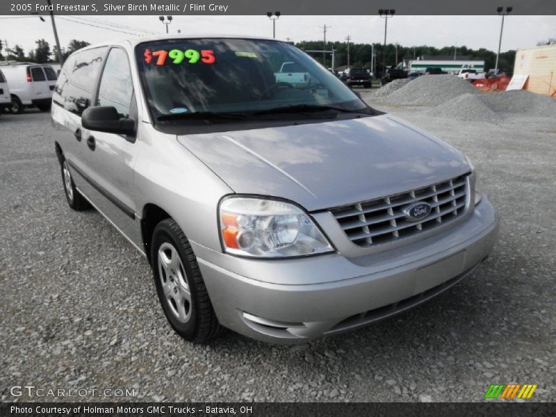Silver Birch Metallic / Flint Grey 2005 Ford Freestar S