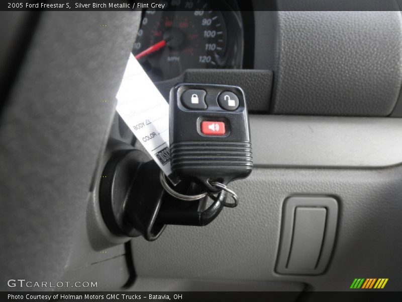 Silver Birch Metallic / Flint Grey 2005 Ford Freestar S