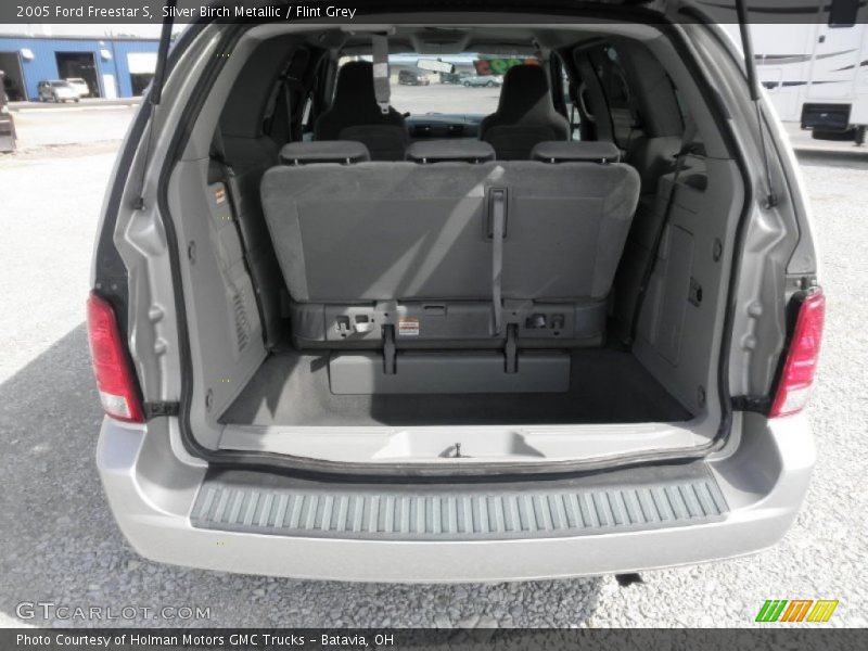 Silver Birch Metallic / Flint Grey 2005 Ford Freestar S