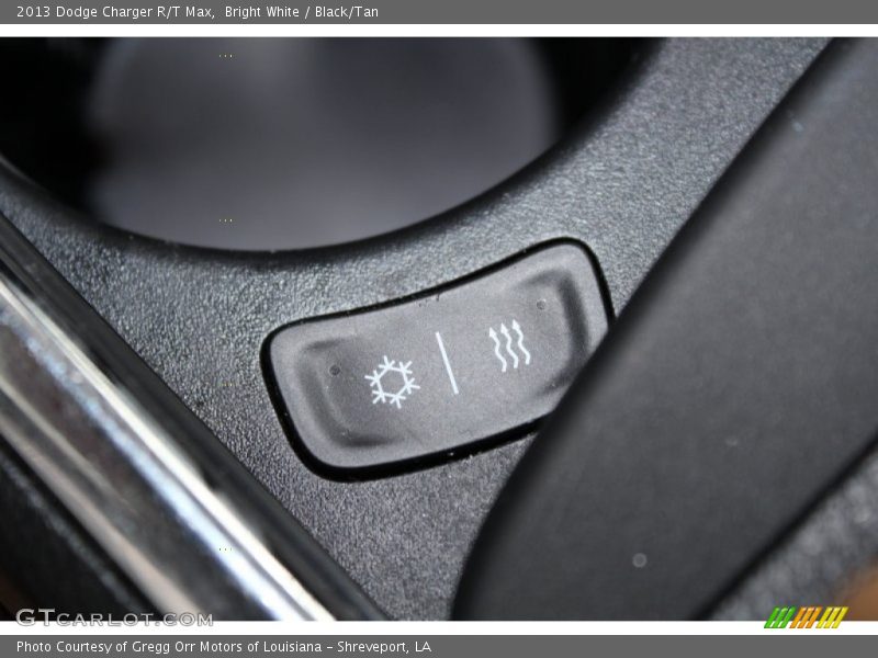 Bright White / Black/Tan 2013 Dodge Charger R/T Max