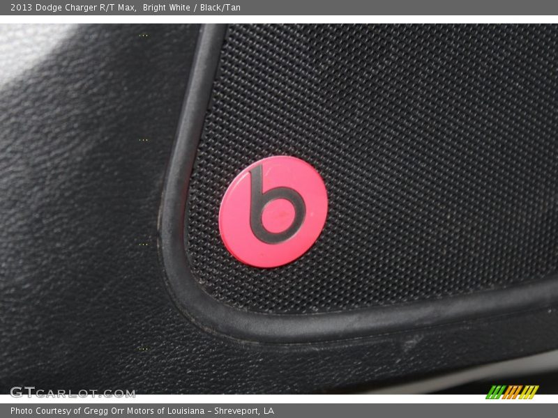 Audio System of 2013 Charger R/T Max