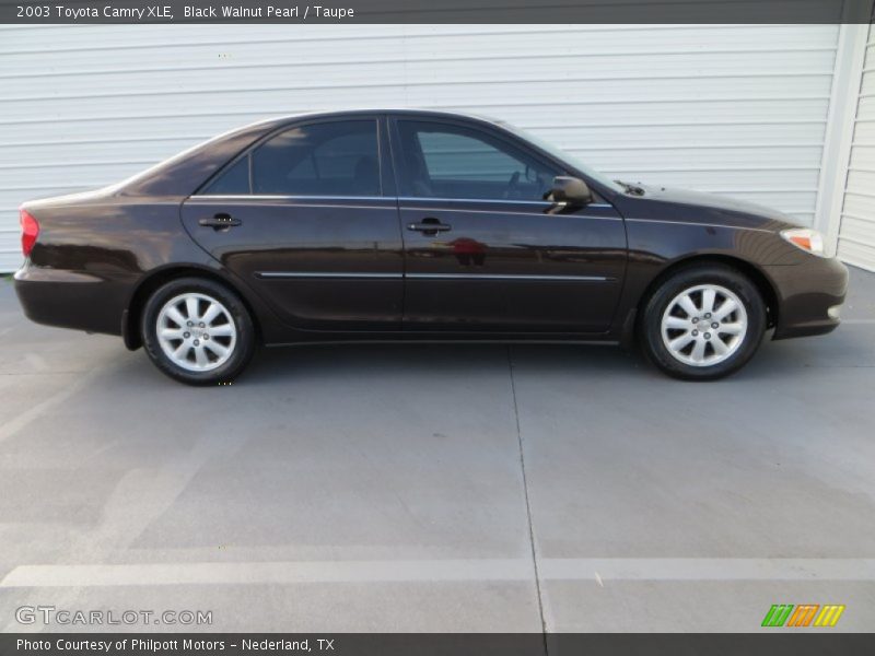  2003 Camry XLE Black Walnut Pearl