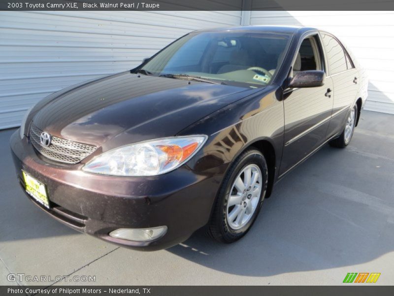 Black Walnut Pearl / Taupe 2003 Toyota Camry XLE