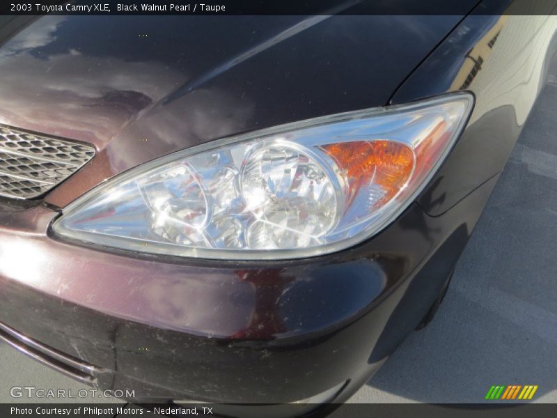 Color Sample of 2003 Camry XLE