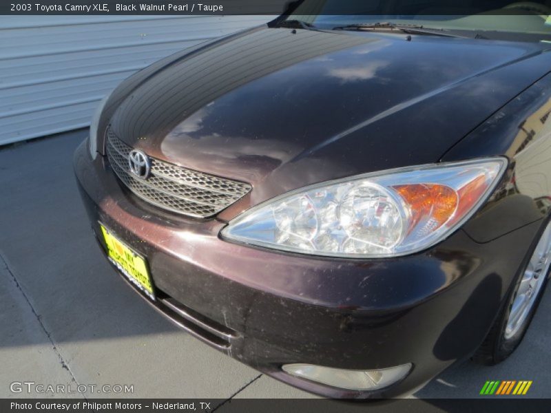 Black Walnut Pearl / Taupe 2003 Toyota Camry XLE