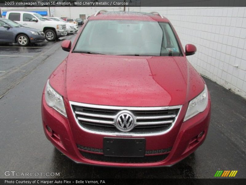 Wild Cherry Metallic / Charcoal 2009 Volkswagen Tiguan SE 4Motion