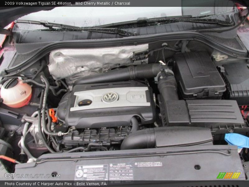 Wild Cherry Metallic / Charcoal 2009 Volkswagen Tiguan SE 4Motion