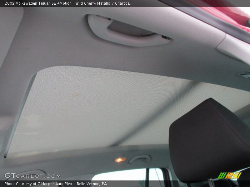 Wild Cherry Metallic / Charcoal 2009 Volkswagen Tiguan SE 4Motion