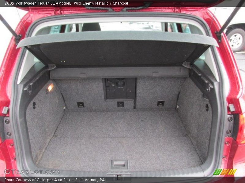Wild Cherry Metallic / Charcoal 2009 Volkswagen Tiguan SE 4Motion
