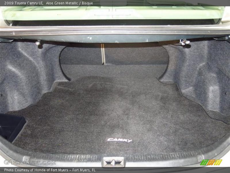 Aloe Green Metallic / Bisque 2009 Toyota Camry LE