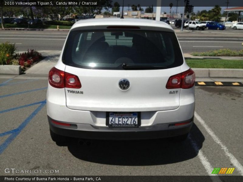 Candy White / Charcoal 2010 Volkswagen Tiguan S
