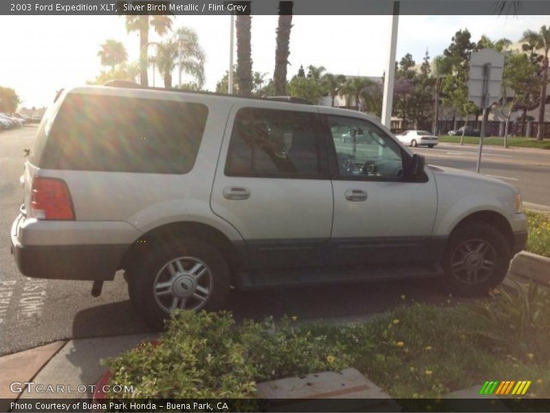 Silver Birch Metallic / Flint Grey 2003 Ford Expedition XLT