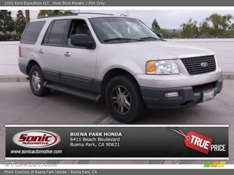 Silver Birch Metallic / Flint Grey 2003 Ford Expedition XLT