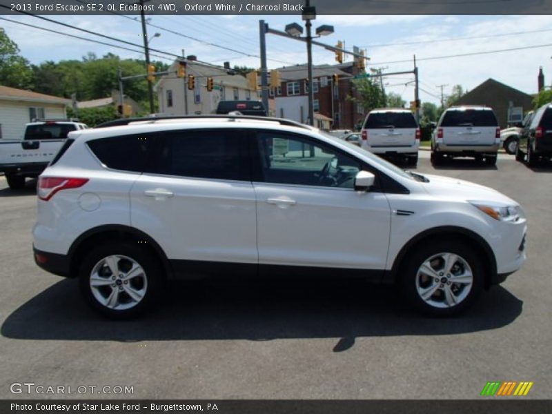 Oxford White / Charcoal Black 2013 Ford Escape SE 2.0L EcoBoost 4WD